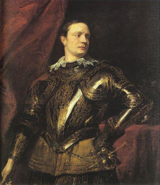 Anthony Van Dyck Portrait of a Young General china oil painting image